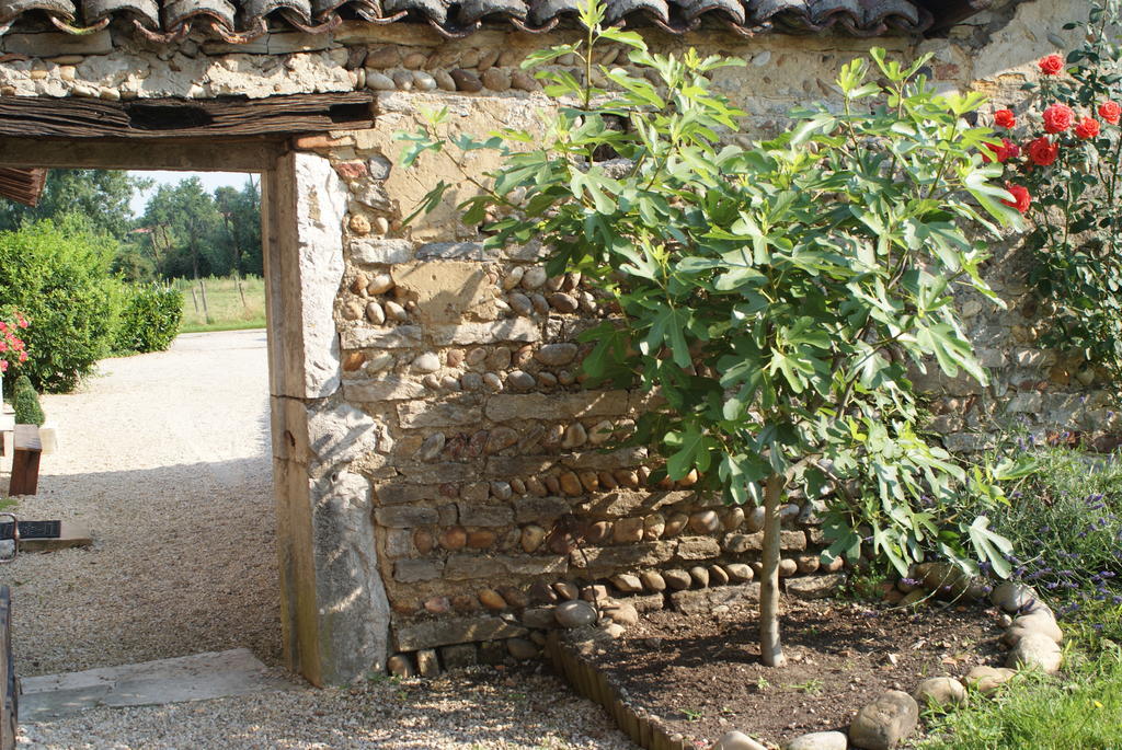 Bed and Breakfast Le Moulin De Champagne Viriat Exteriér fotografie